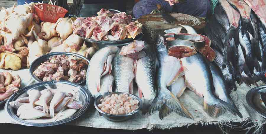a variety of animal food: seafood and poultry