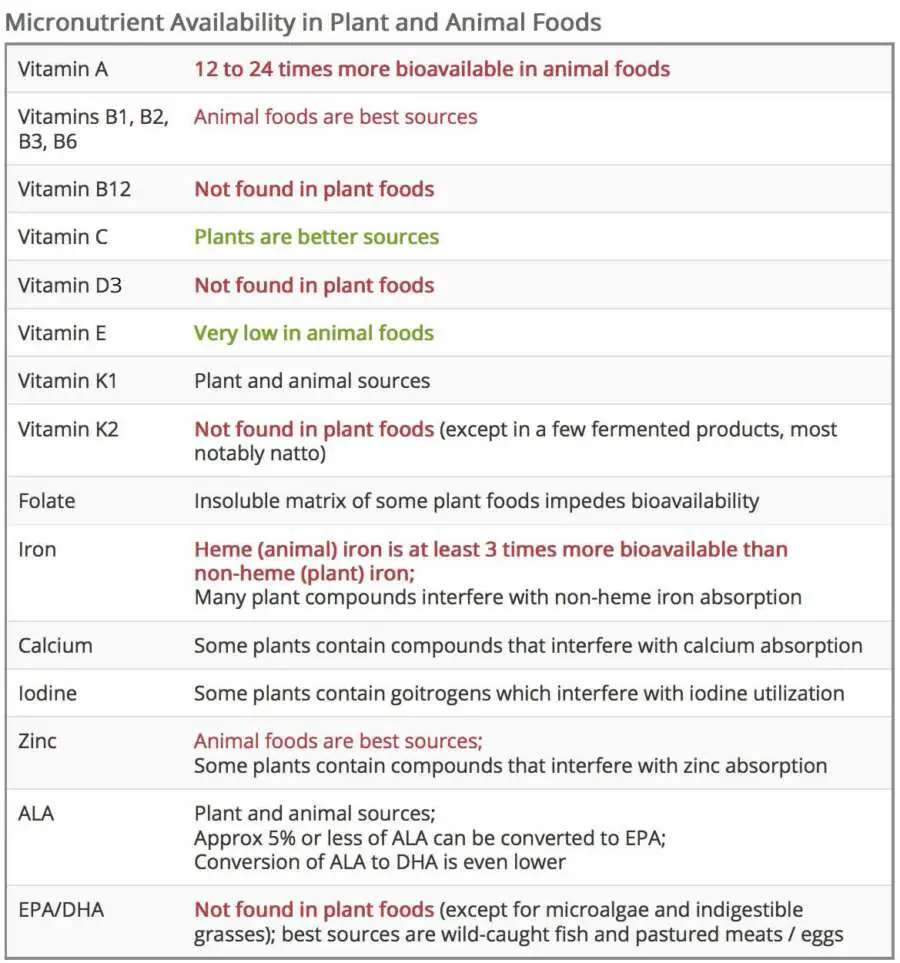 table comparing animal foods and plant foods in terms of vitamins and minerals