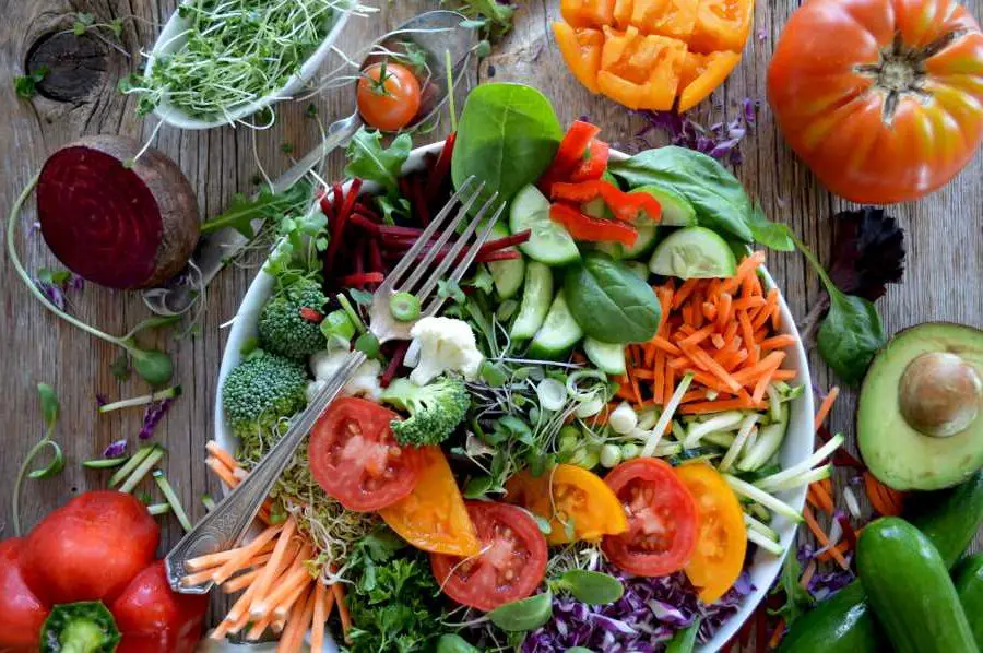 What Are Phytonutrients and Do You Need Them on the Carnivore Diet?