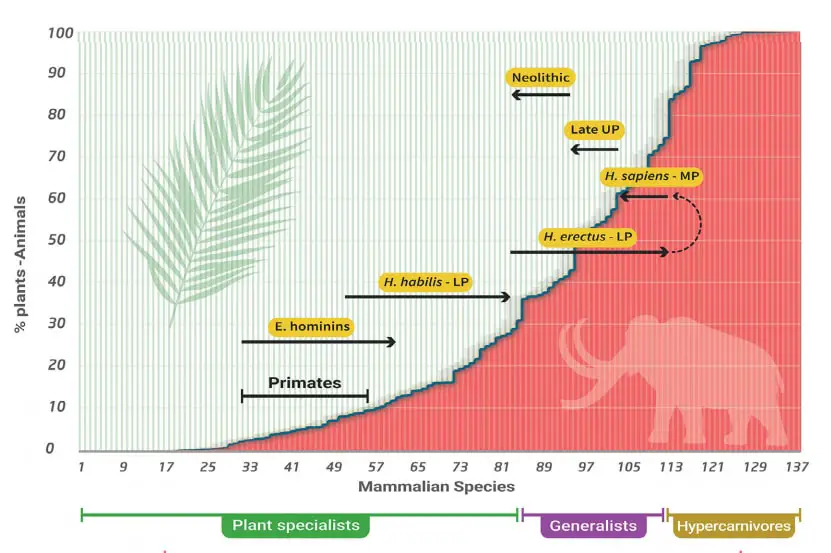 A chart shows the evolution of the human trophic level during the Pleistocene.