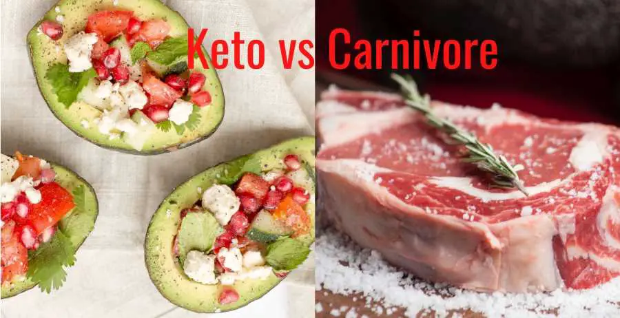Ketogenic diet vs Carnivore diet and images of keto meal and a beef steak