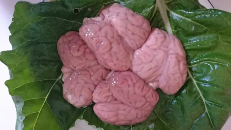 Lamb brain is a great source of omega 3 on the carnivore diet