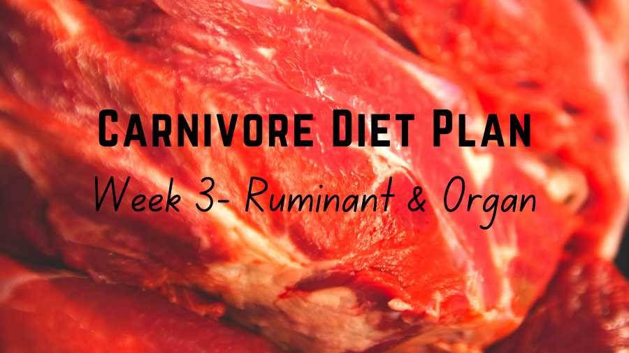 Carnivore Diet Plan – Week 3 Ruminant & Organ – Copy Carnivore Diet Plan - Week 3 Ruminant & Organ