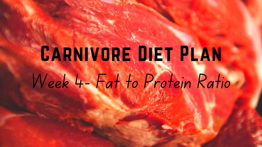 Week 4 Fat to Protein Ratio – Copy Carnivore diet plan - Week 4 Fat to Protein Ratio