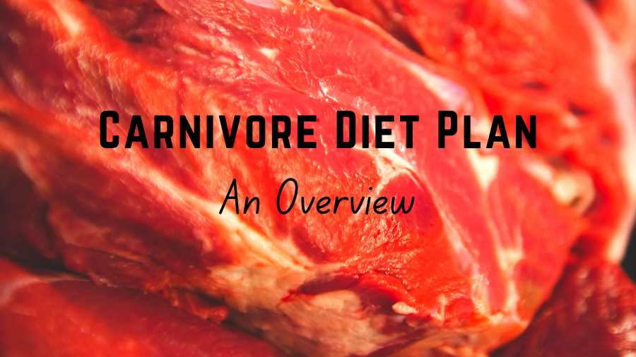 Carnivore Diet Plan – An Overview – Copy Carnivore Diet Plan - An Overview