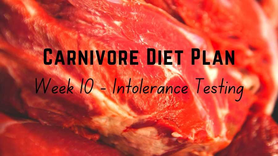 Carnivore Diet Plan – Week 10 Intolerance testing – Copy Carnivore Diet Plan - Week 10 Intolerance testing