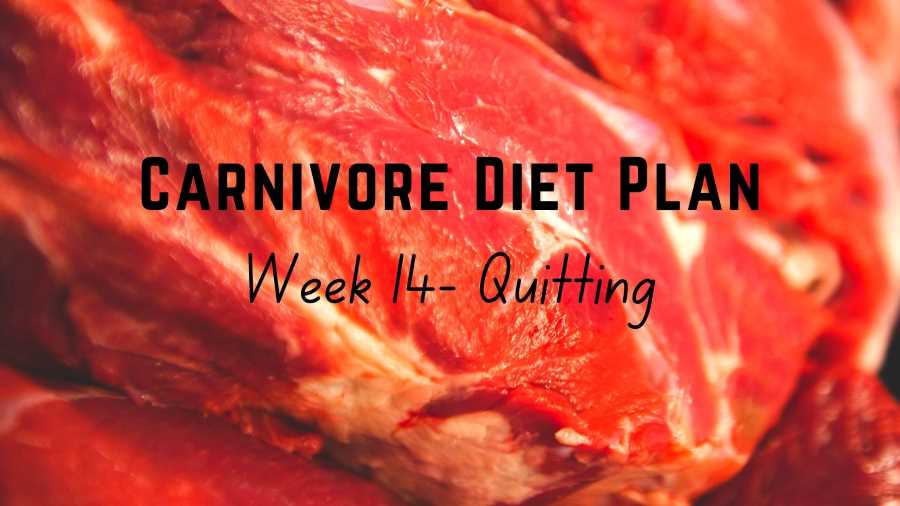 Carnivore Diet Plan – Week 14 Quitting Carnivore Diet Plan - Week 14 Quitting