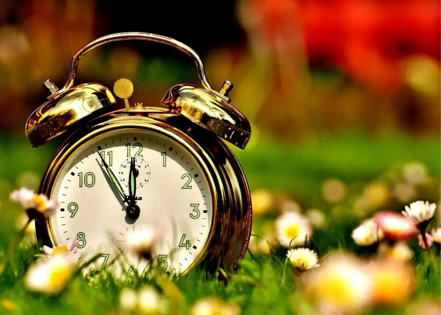 When is the best time to eat on the carnivore diet – Copy When is the best time to eat on the carnivore diet?