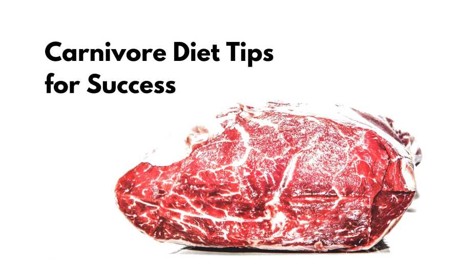 Carnivore diet tips for success – Copy Carnivore diet tips for success