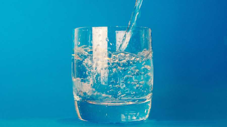 Do you need to fast on the carnivore diet – Copy Do you need to fast on the carnivore diet