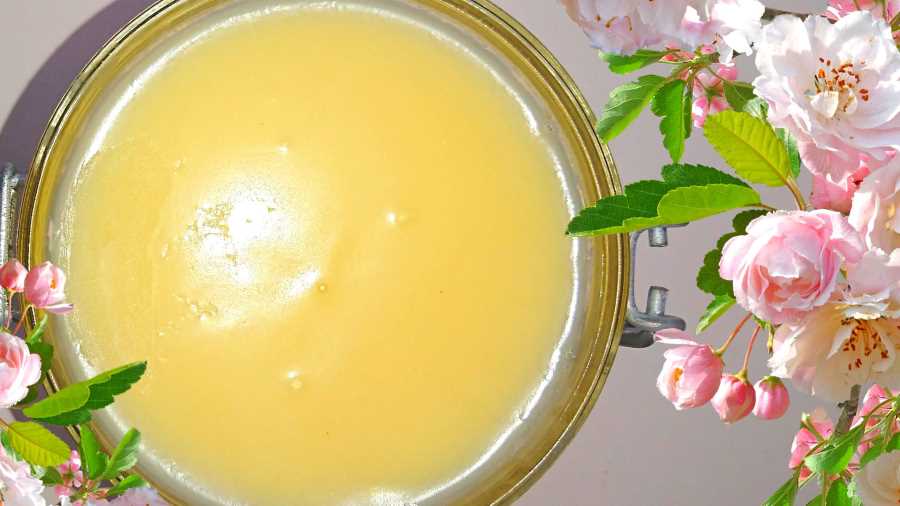 How to Make Tallow
