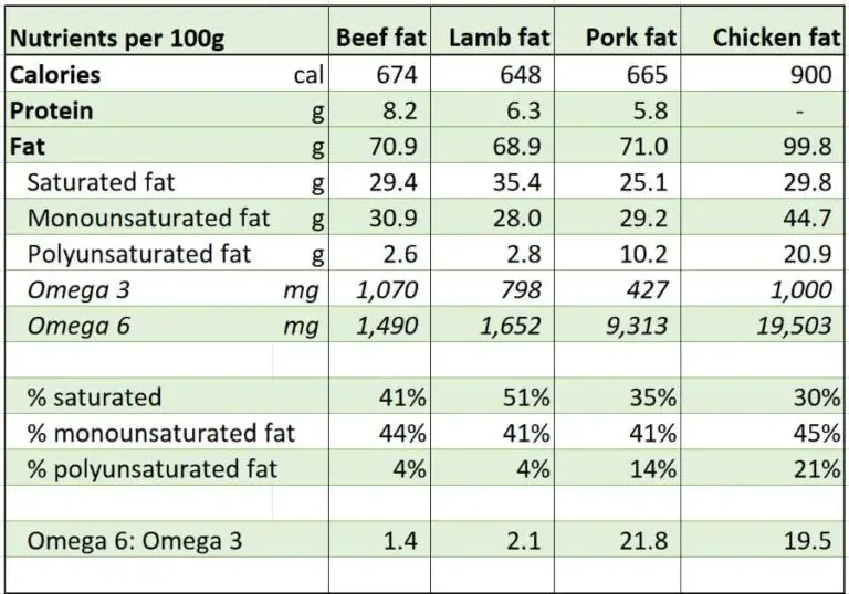 Can You Eat Only Ground Beef On the Carnivore Diet?
