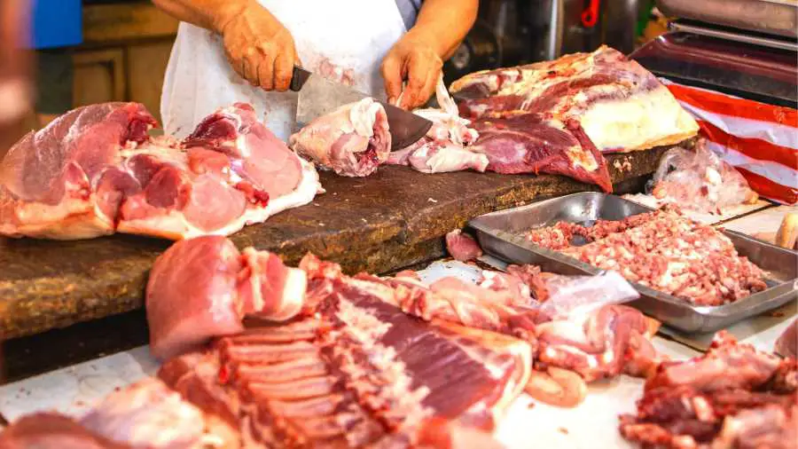 What is the best meat to eat on the carnivore diet – Copy What is the best meat to eat on the carnivore diet