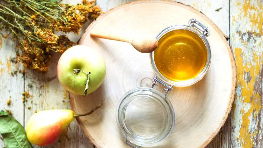 Is carnivore + fruits and honey a good idea – Copy Is carnivore + fruits and honey a good idea