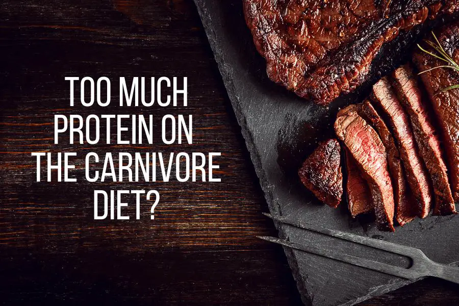 Can you eat too much protein on the carnivore diet
