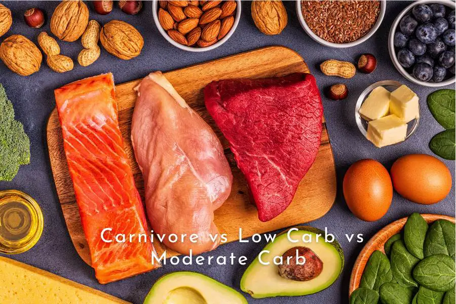 Carnivore vs Low-Carbs vs Moderate-Carbs vs High-Carbs