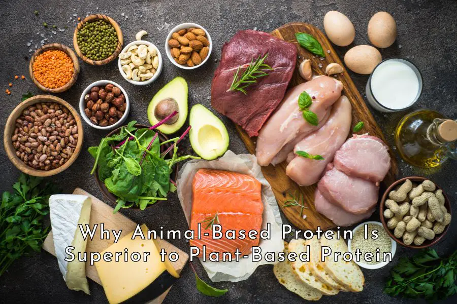 Why Animal-Based Protein Is Superior to Plant-Based Protein