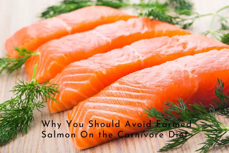 Why You Should Avoid Farmed Salmon on the Carnivore Diet