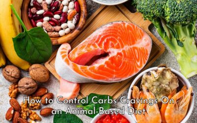 How to Control Carbs Cravings On an Animal-Based Diet